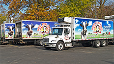 Delivery-Fleet of branded trucks